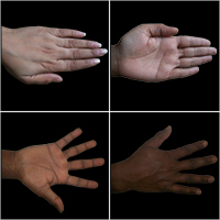 43 Human Hands Reference Pack – Cg Premium Content