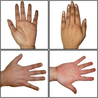 Freebie : 13 Human Hands – Premium Pack Preview