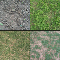 Freebie : 10 Ground Textures – Premium Pack Preview