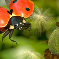 Cgtuts+ Workshop #31 MACRO