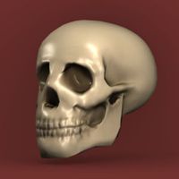 Sculpt, Model and Texture a Low-Poly Skull in Blender