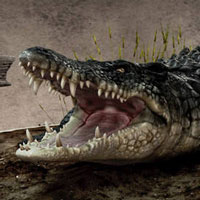 43 Beautiful and Terrifying Animal Renders