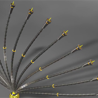 Create a ‘Cybernetic Plant’ in Cinema4D