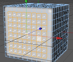 Step 9 Image