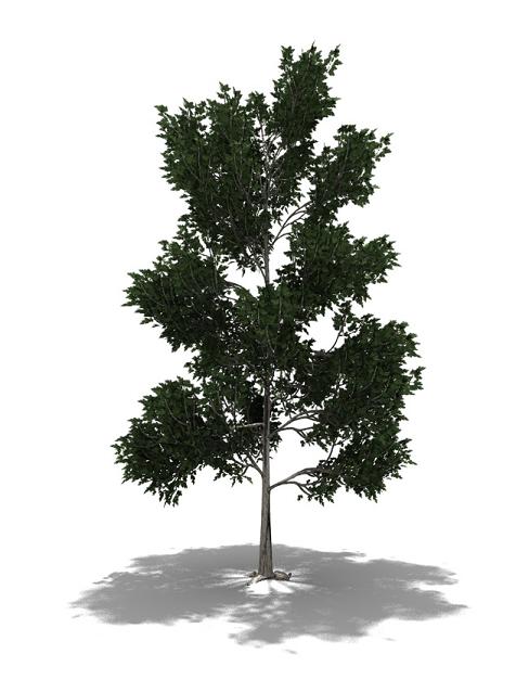 Step 2 Image
