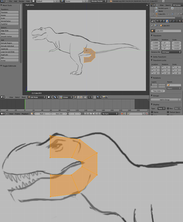 Step 10 Image