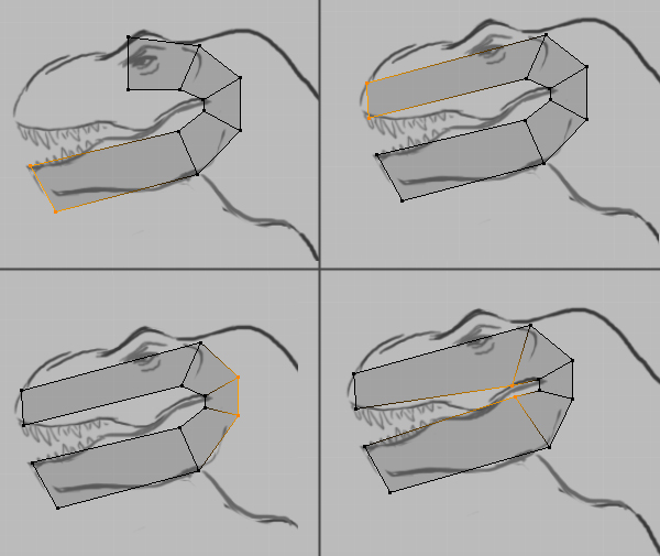 Step 11 Image