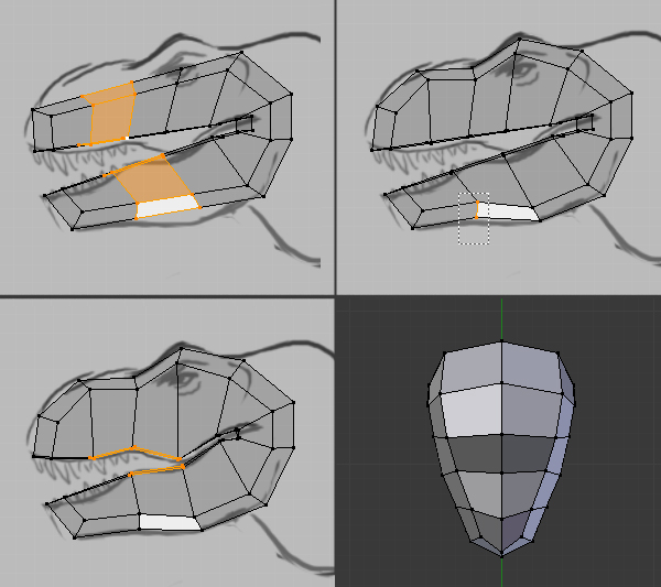 Step 11 Image