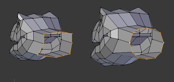 Step 11 Image