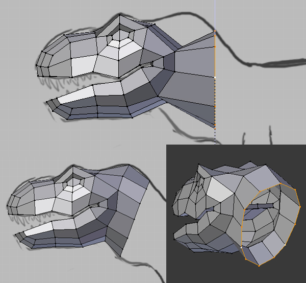 Step 11 Image