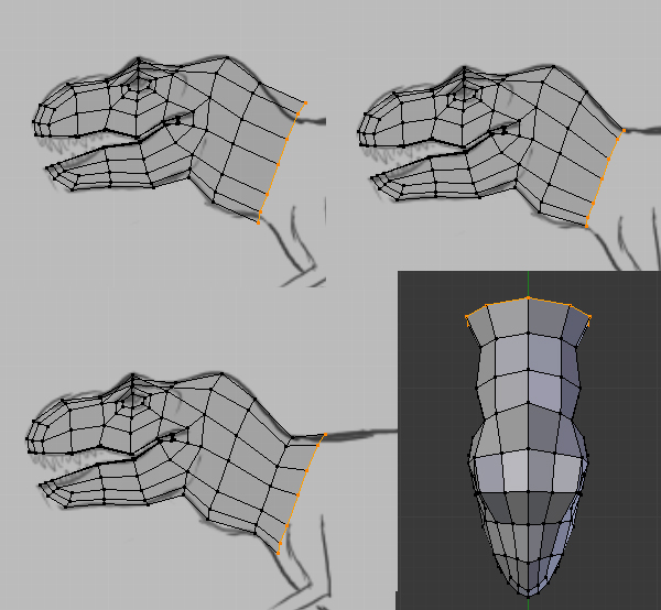 Step 11 Image