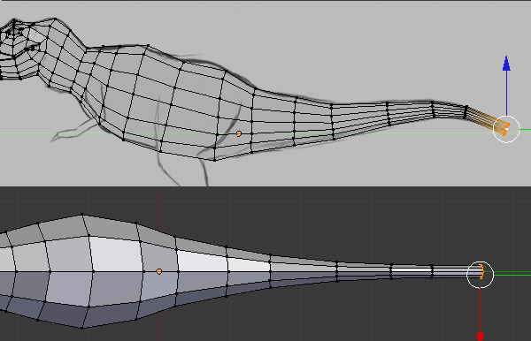 Step 11 Image
