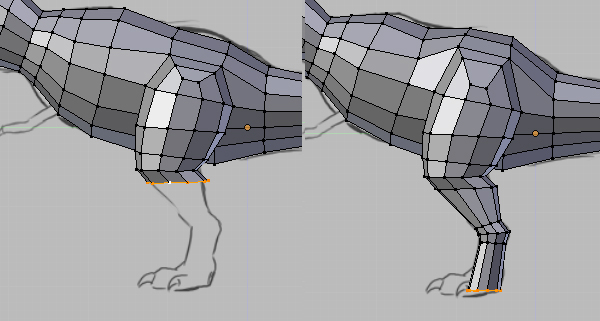 Step 11 Image