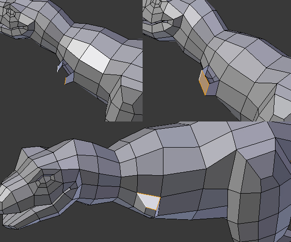 Step 11 Image