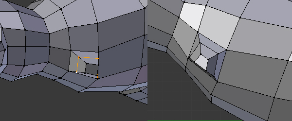 Step 11 Image