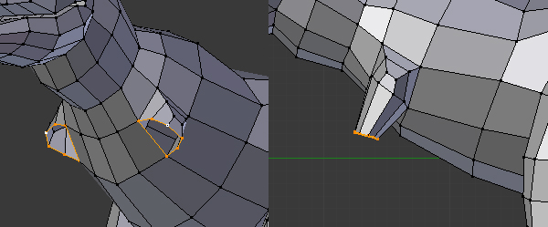 Step 11 Image