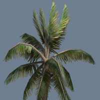 Speedtree to UDK: Creating A Palm Tree In Speedtree And Importing It Into UDK