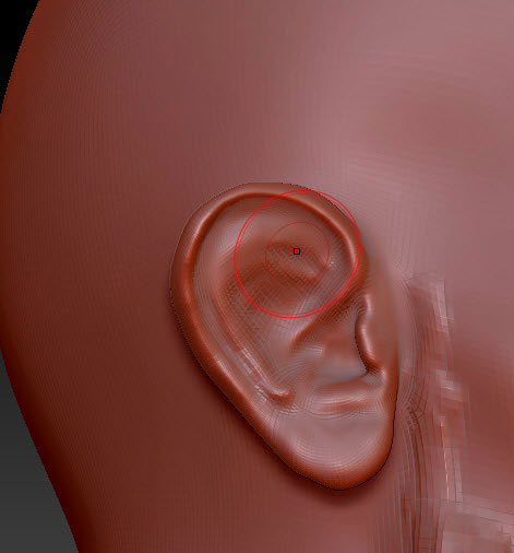Step 1 Image