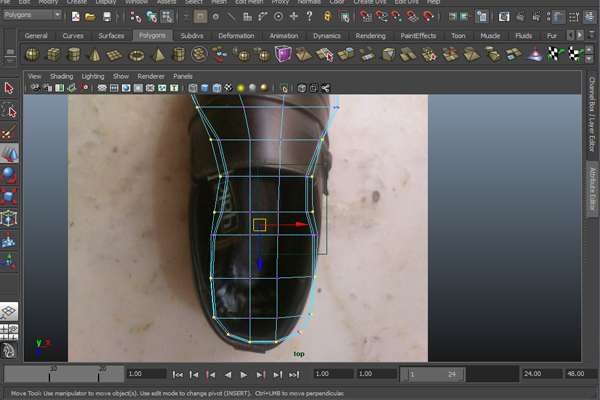 Step 10 Image