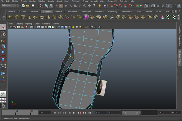 Step 10 Image