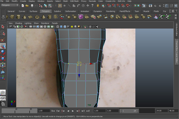Step 17 Image