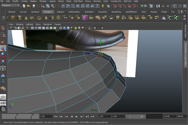 Step 21 Image