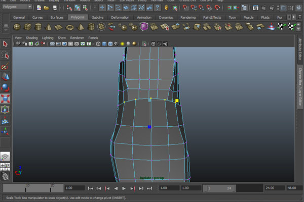 Step 30 Image