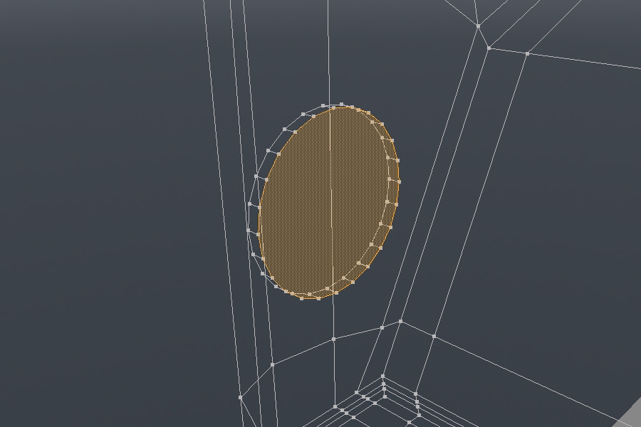 Step 22 Image
