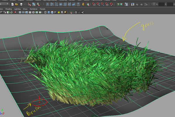 Step 9 Image
